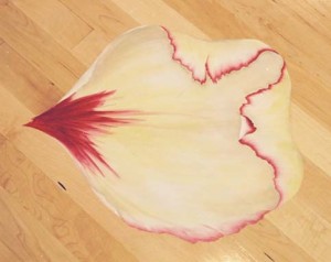 Rose Petal Painted on Broadmoor Aerobic Room Floor