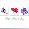 Picture of Mother's Day card with iris