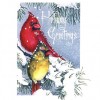 photo of Christmas card with cardinals