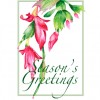 photo of Christmas card with watercolor Christmas cactus