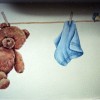 pic of bear on clothes line