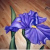 Photo of Iris painted on floor.
